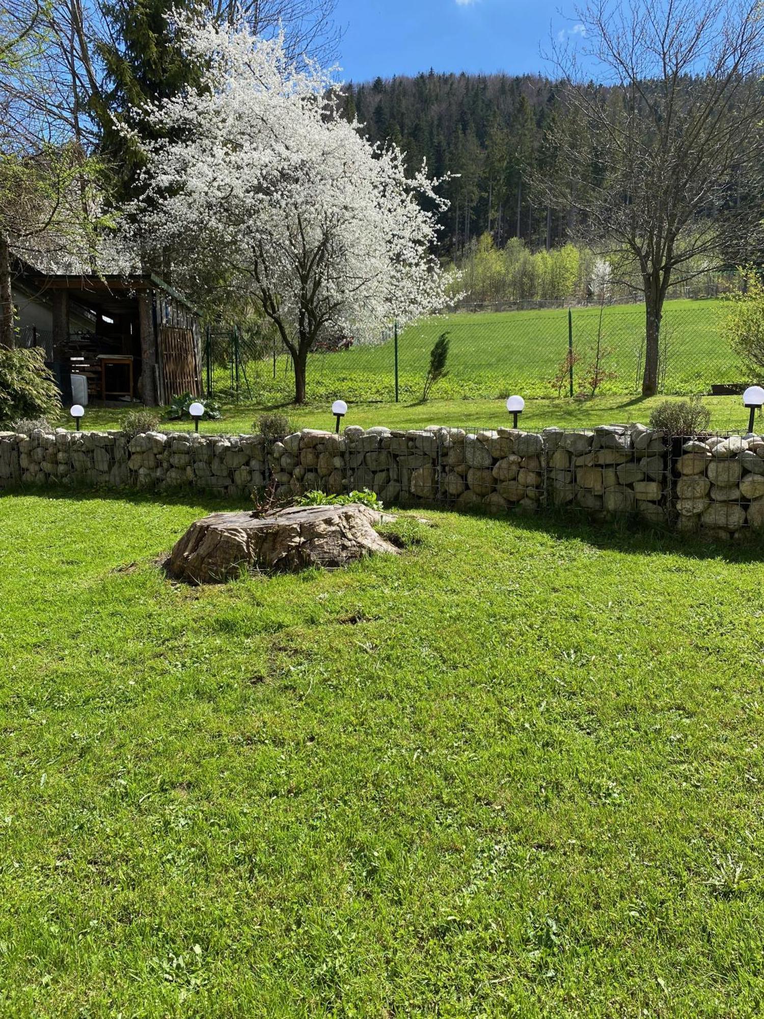 Apartmán U Zosi *